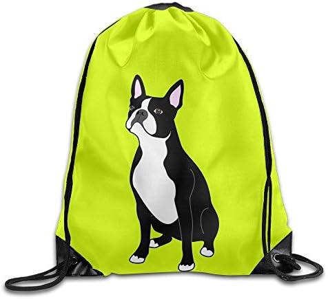 Boston Terrier3 Cool Drawstring Travel Sports Backpack