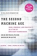 The Second Machine Age: Work, Progress, and Prosperity in a Time of Brilliant Technologies