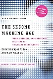 The Second Machine Age: Work, Progress, and Prosperity in a Time of Brilliant Technologies