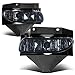 Auto Dynasty Fog Lights Assembly Compatible with 1999-2004 Ford Mustang GT Front Bumper Driving Fog Lamps, Driver and Passenger Side, Smoked Lens