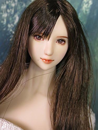 茶髪 少女 1 6 女性 フィギュア 素体 ヘッド 頭 アクセサリー 美人 植毛タイプ Dressagejudge Com