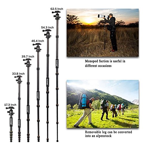 ZOMEI Carbon Fiber Q666C Tripod Heavy Duty Lightweight Travel with 360 Degree Ball Head Compact for Canon Sony, Nikon, Samsung, Panasonic, Olympus, Kodak, Fuji, Cameras and DSLR