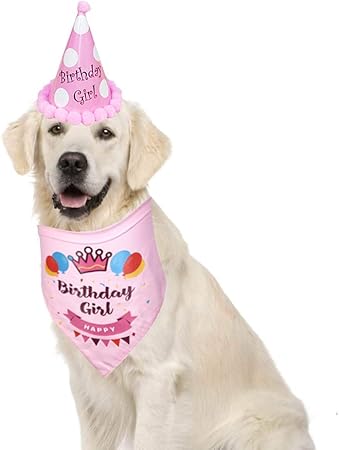 puppy birthday outfit