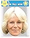 The Royals - Multipack - 7 Celebrity Face Masks