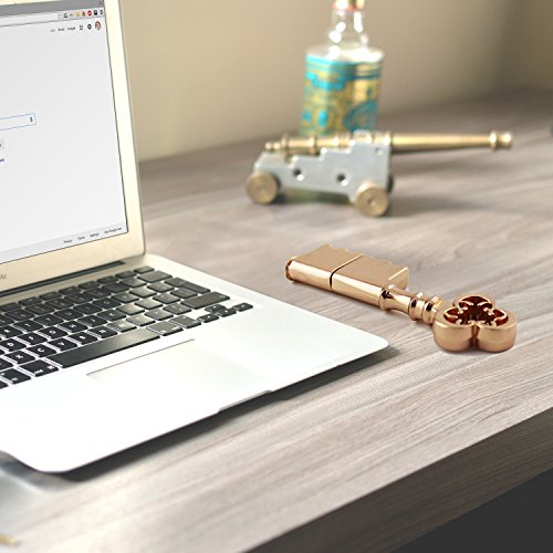 CHUYI Metal Rose Gold Key Shape 64GB USB 2.0 Flash Drive Cool Pen Drive Waterproof Memory Stick Data Storage Funny Thumb Drive U Disk Gift