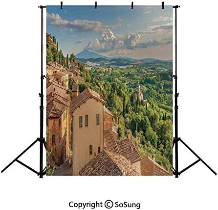 3 5フィート ビニールトスカーナ背景 写真用 田舎風景 古代のブドウ畑 ファーム
