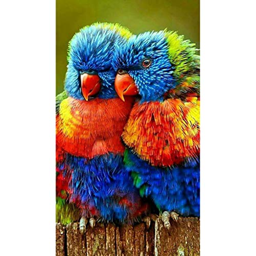 5D Diamond Painting Full Drill by Number Kits for Adults Kids, DIY Rhinestone Craft Paint with Diamonds Set Arts Xmas Decorations (Colorful Owl, 12x16 in)