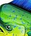 Mahi Mahi Dolphin Fish Car Motorcycle Truck Boat Laptop Cup Vinyl Sticker Decals Bumper Stickers
