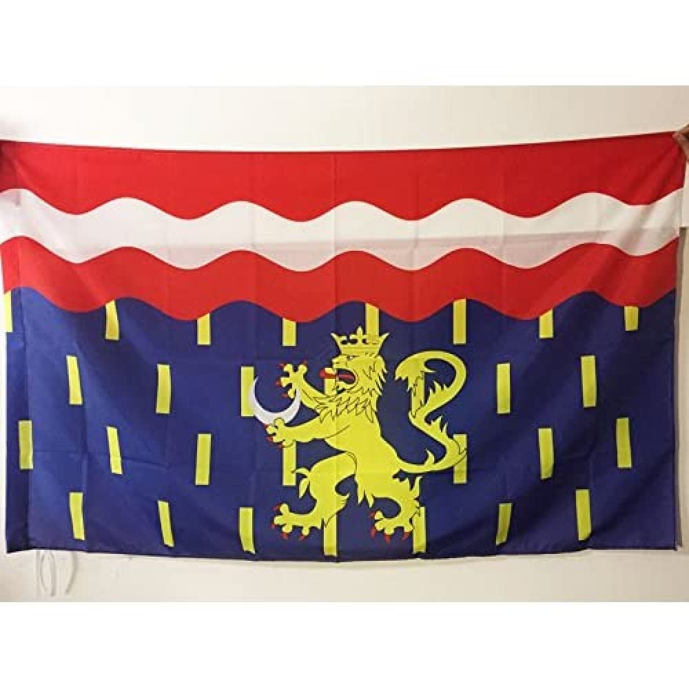 AZ FLAG - Haute-Saône Flag - 2x3 Ft - French department Banner with Sleeve - 100% Polyester - Fade Resistant - Vivid Colors - 2' x 3' Feet - 90x60 Cm