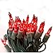 Holiday Wonderland 4003-88 Mini Light Set, Red, 100-count
