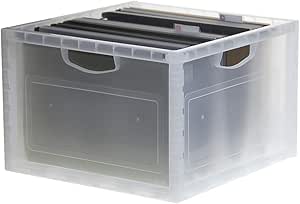 Livinbox - Caja organizadora de archivos, tamaño A4, plástico, con asas