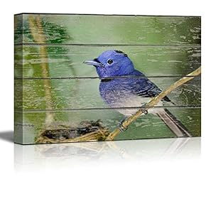 Blue Little Bird Sitting on a Tree Branch...