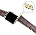 iStrap Alligator Grain Calf Leather Band for Apple Watch 44mm 40mm Series 6 SE 5 Series 4 Black Brown Replacement Strap Steel Buckle for iWatch 42mm 38mm Series 3 2 1 Sport Edition