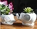 White Elephant Gift Elephant Planter with Saucer Tray. Elephant Gifts, Fits Small Succulent/Flower. Elephant Decor for Home/Office (Elephant, White)