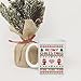 Meowy Christmas Purr - Merry Christmas Funny Cat Mug - 11OZ Coffee Mug - Holiday Mugs - Cute Xmas Mug, Funny Christmas Mug - Perfect Gift for The Holidays- by AW Fashions