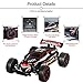 Blexy RC Racing Cars 2.4Ghz High Speed Rock Off-Road Vehicle 1:20 2WD Radio Remote Control Racing Toy Cars Electric Fast Race Buggy Hobby Car Green 211 (Red)