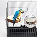 Prevue Hendryx Round Squirrel Parrot Bird Cage Perch Stand Platform Pet Bird Toythumb 2