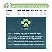 Petacc Dog Boots Water Resistant Dog Shoes for Large Dogs and Black Labrador 4 Pcs in Size 5 Black