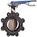 NIBCO LD-2000-3 Series Ductile Iron Butterfly Valve with EPDM Liner and Aluminum Bronze Disc, Lever-Lock Handle, Lug, 6
