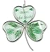 Irish Shamrock Sun Catcher - Shamrock Shaped Suncatcher with Pressed Green Florals - Bless The Irish is Printed on Front - Traditional Look - 4