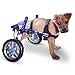 Walkin' Wheels Dog Wheelchair - For Small Dogs 18-25 lbs - Veterinarian Approved - Wheelchair for Back Legs