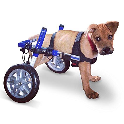 Walkin' Wheels Dog Wheelchair - For Small Dogs 18-25 lbs - Veterinarian Approved - Wheelchair for Back Legs