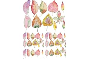 XPRESSIONDECALS Autumns Here - 70151 - Ceramic Decal - Enamel Decal - Glass Decal - Waterslide Decal - 3 Different Size Sheet (Images) to Choose from. Choose Either Ceramic (Enamel) or Glass Fusing Decals