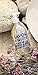 Compagnie de Provence Savon de Marseille Extra Pure Liquid Soap - Mediterranean Sea - 16.7 Fl Oz Glass Pump Bottle and 33.8 fl oz Plastic Bottle Refill