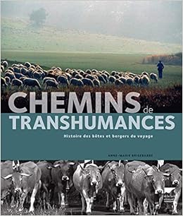 Amazon Fr Chemins De Transhumances Histoire Des Betes Et Bergers Du Voyage Brisebarre Anne Marie Livres