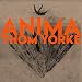 ANIMA
