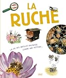 La ruche by
