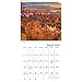 National Parks Wall Calendar (2019)