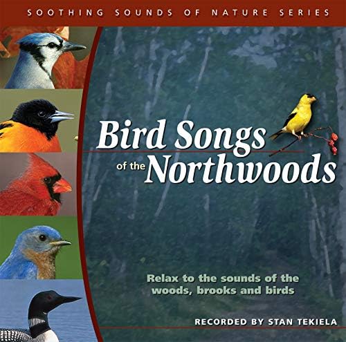 Songbirds: A Surround Sound Experience [SACD]: Dan Gibson