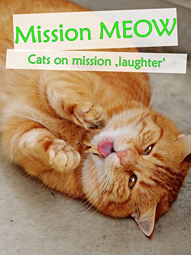 Clip: Mission Meow – Cats on mission laughter