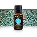 Wintergreen Essential Oil, 100% Pure - Aromatherapy, Massage, And Pain Relief. 15 mL
