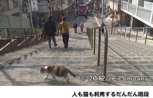 Amazon 谷中のら猫ラプソディー だんだん猫10年の記録 Dvd 映画