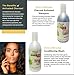Hawaiian Silky Apple Cider Vinegar Conditioning Wash, 12 fl oz - Lather-Free , with Black Castor Oil Extract, Cleansing Hair Moisturizer Treatment - Good on Men, Women & Kids