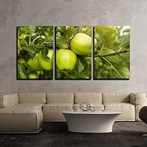 3 Piece Canvas Wall Art - Green Apples in The Orchard - Modern Home Art Stretched and Framed Ready to Hang - 16"x24"x3 Panels