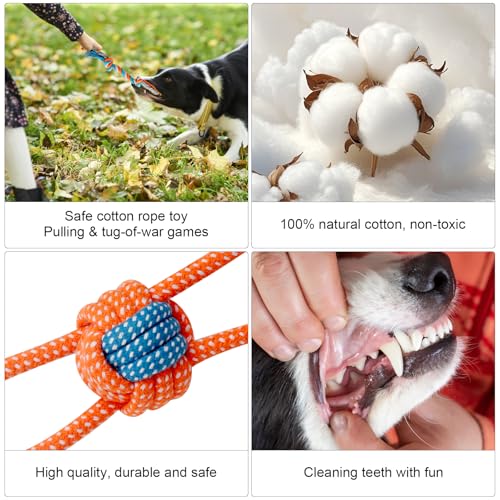 ZMDMAH Set of 8 Dog Toys Puppy Toys with Plush Rope Ball and Whistle Chew Toy and Interactive Games for Small Dog and Puppy