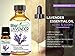 BioFinest Lavender Oil - 100% Pure Lavender Essential Oil - Therapeutic Grade - Bulgaria Premium Quality - Best For Aromatherapy, Diffuser, Massage, Anxiety & Stress Relief - FREE E-Book (10ml)