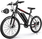 TotGuard Electric Bike, Electric Bike for