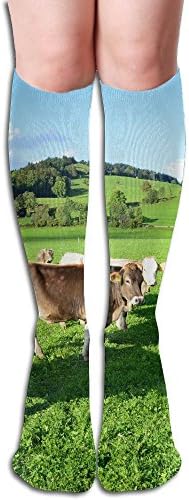 Unisex Long Stockings Cows On Lawn Comfortable Long Hose Knee High Socks For Mens Womens