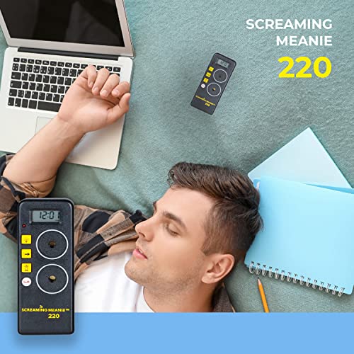 Screaming Meanie 220 Alarm Clock and Timer Extremely Loud for Deep