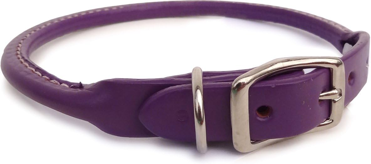 Auburn Leather Purple Pet Dog Collar 