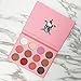 Kaidifangte Makeup Palette 12 Color Pink Matte Red Eyeshadow and Orange Shimmery Eye Shadow Palette Kit 11 Shimmer + 1 Matte DARK FREDOM EYESADOW