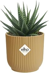 elho Vibes Fold Round Mini Pot 9.3 cm Yellow 100% Recycled Plastic view 9