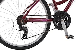 schwinn suburban deluxe