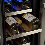 EdgeStar CWR361FD 24 Inch Wide 36 Bottle Built-In Wine Cooler with Dual Cooling