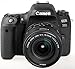 Canon EOS 77D DSLR Camera + 18-55mm STM + 75-300mm III Lens + Spare LP-E17 Battery + Two Ultraviolet Filters + 64GB SDXC Card + SLR Bag + Remote + Tripod & More - International Version