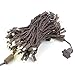 Novelty Lights 50ft 100 LED Warm White Christmas String Lights, 6